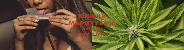первитин Осинники