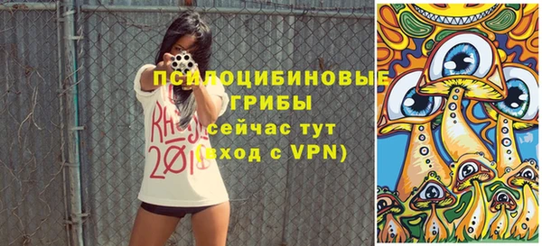 экстази Дегтярск